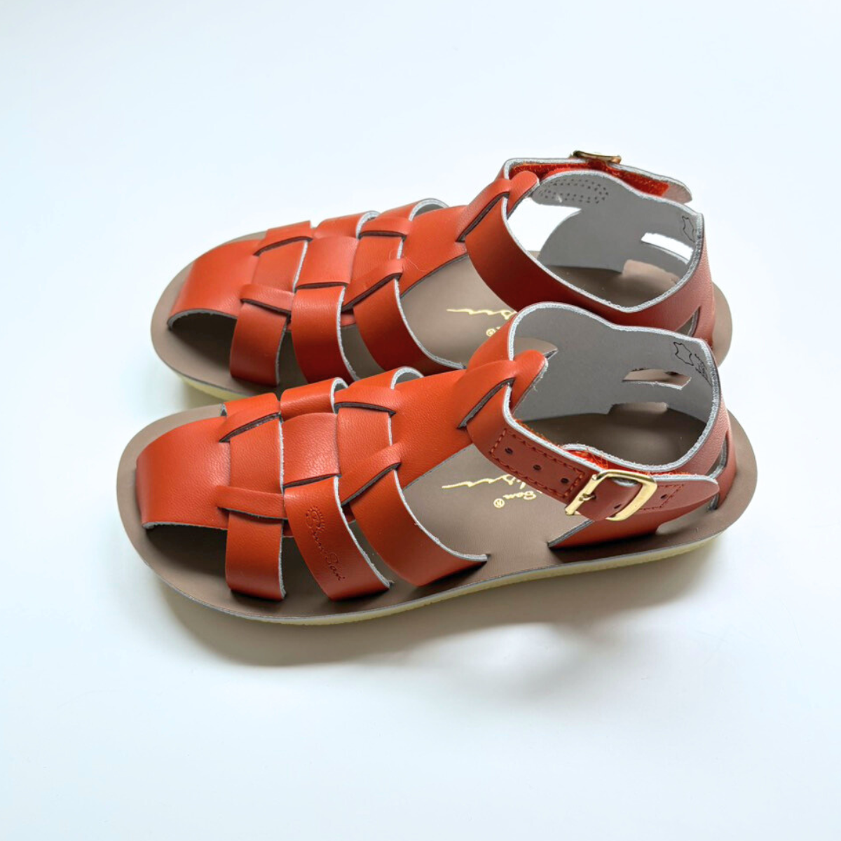 SaltWater Sandals - shark＜Paprika＞